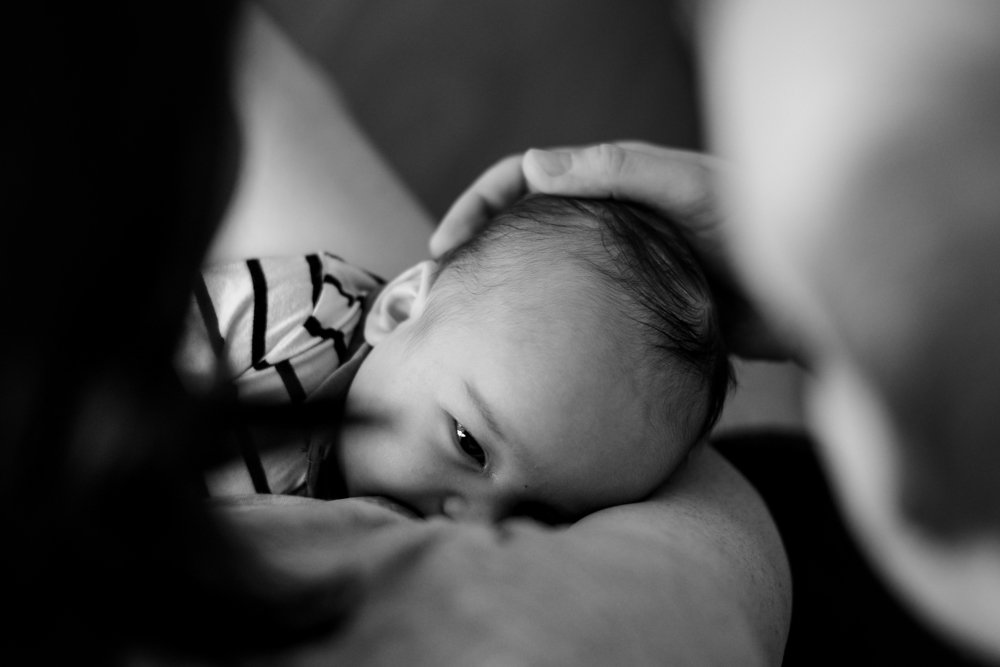 Photograph by Екатерина Никитина