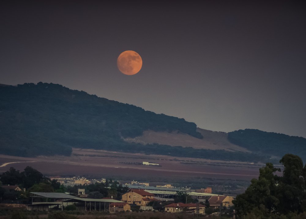 Photograph by Михаил Заброцкий