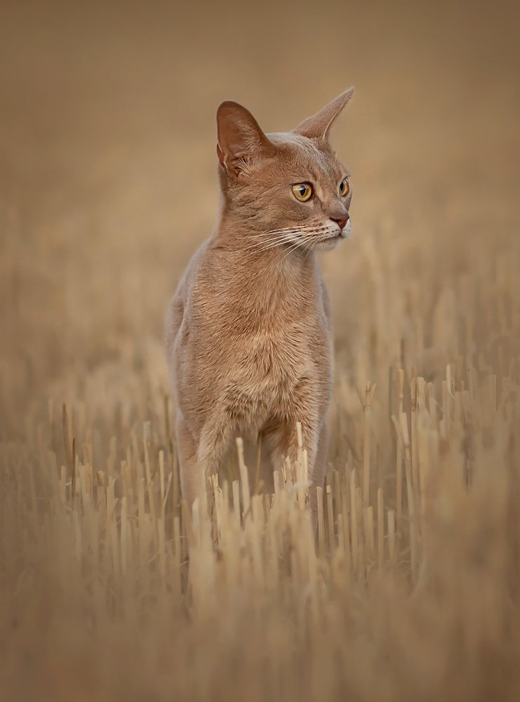 Photograph by Airide Skrabuliene