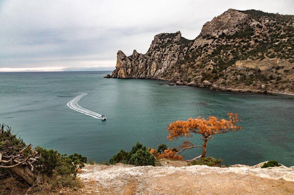 Photograph by Василий Бережной