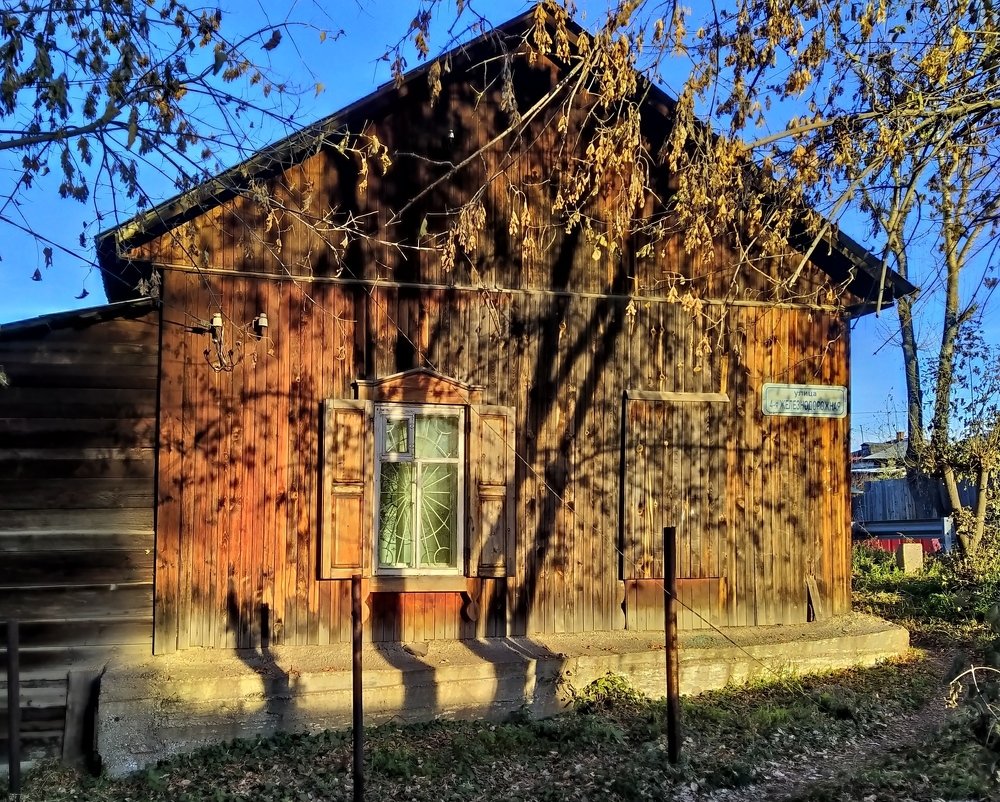 Большие деревья