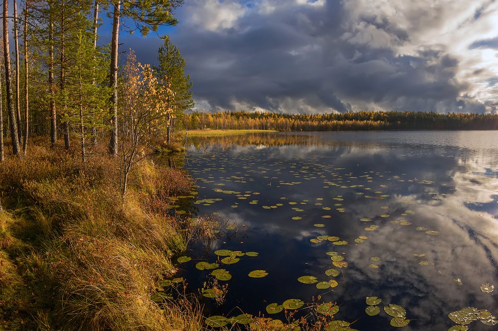 Photograph by Марина Мурашова