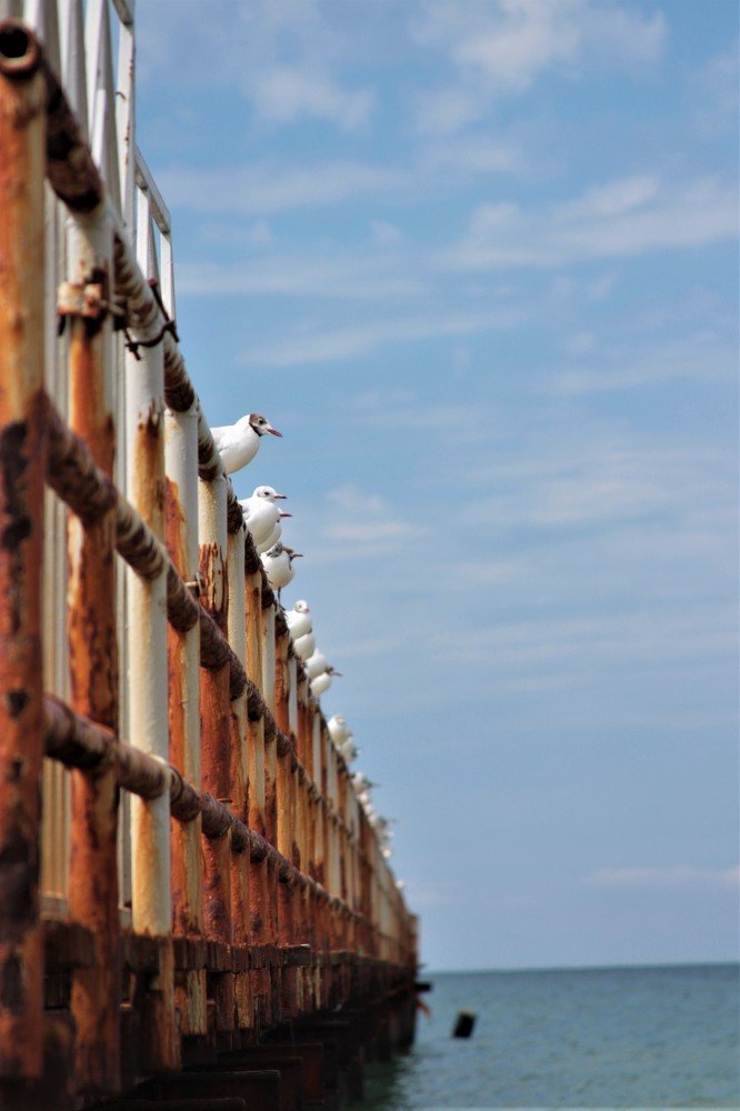 Photograph by Ольга Сергиенко