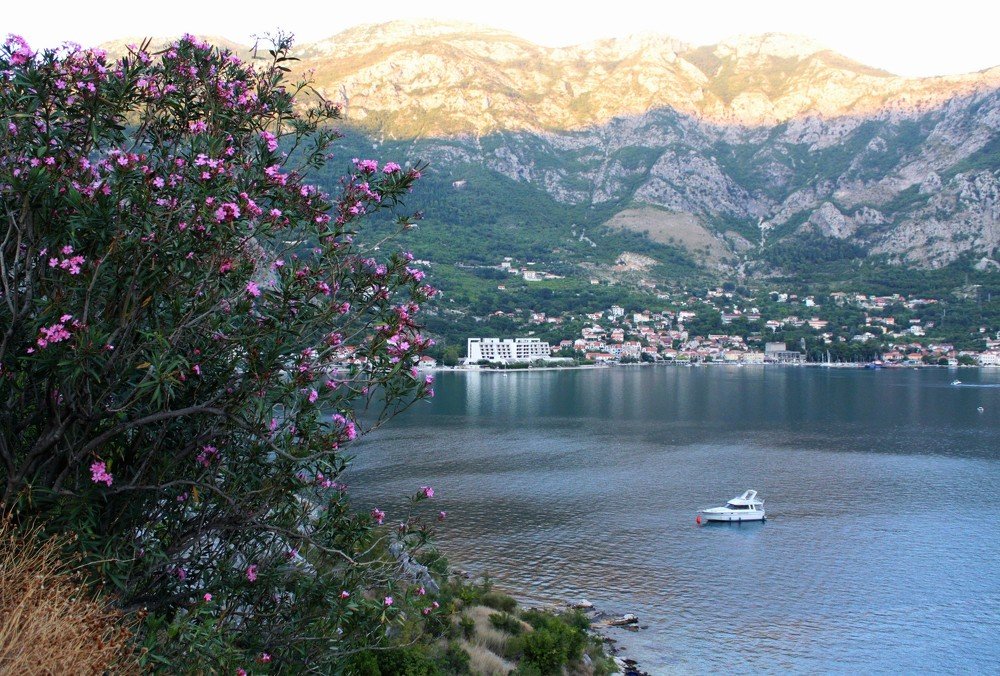 Photograph by Анастасия Солодкая