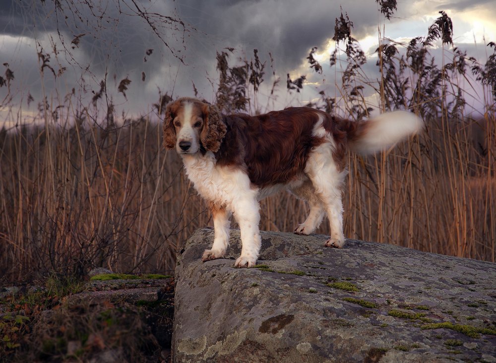 Photograph by Liudmila Drake