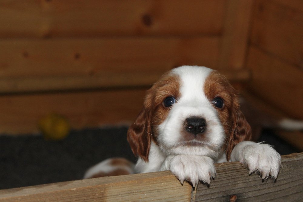 Photograph by Liudmila Drake