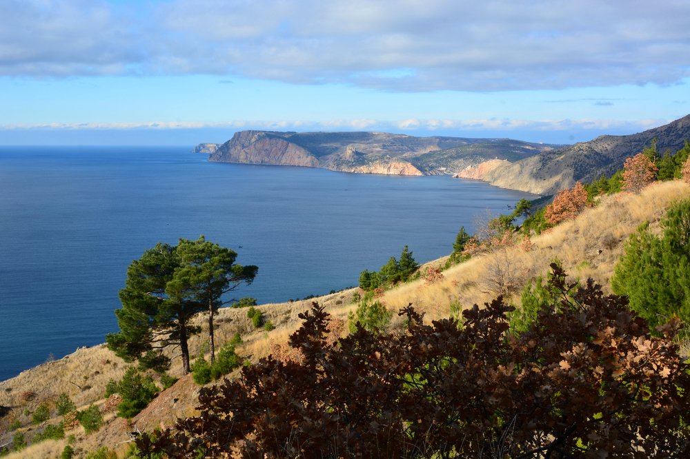 Photograph by Анатолий Орлов