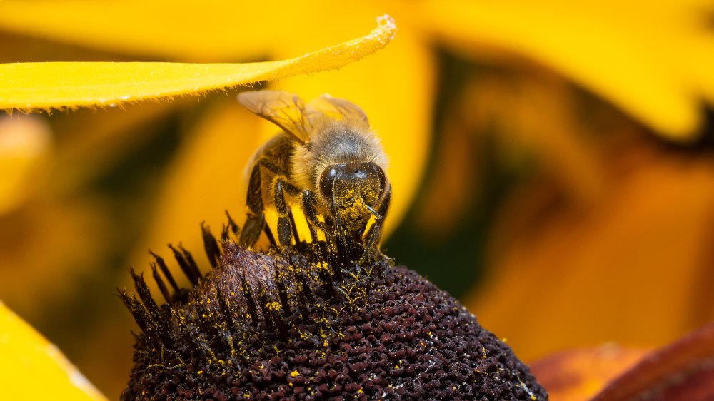 Photograph by Владимир Машко