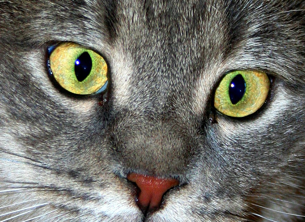 Photograph by Siamak Sabet