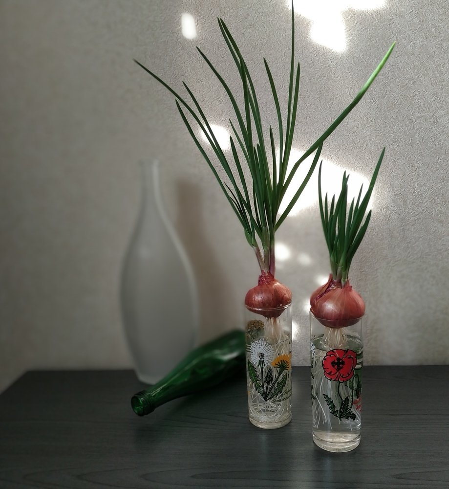 Photograph by Наталья Слудникова