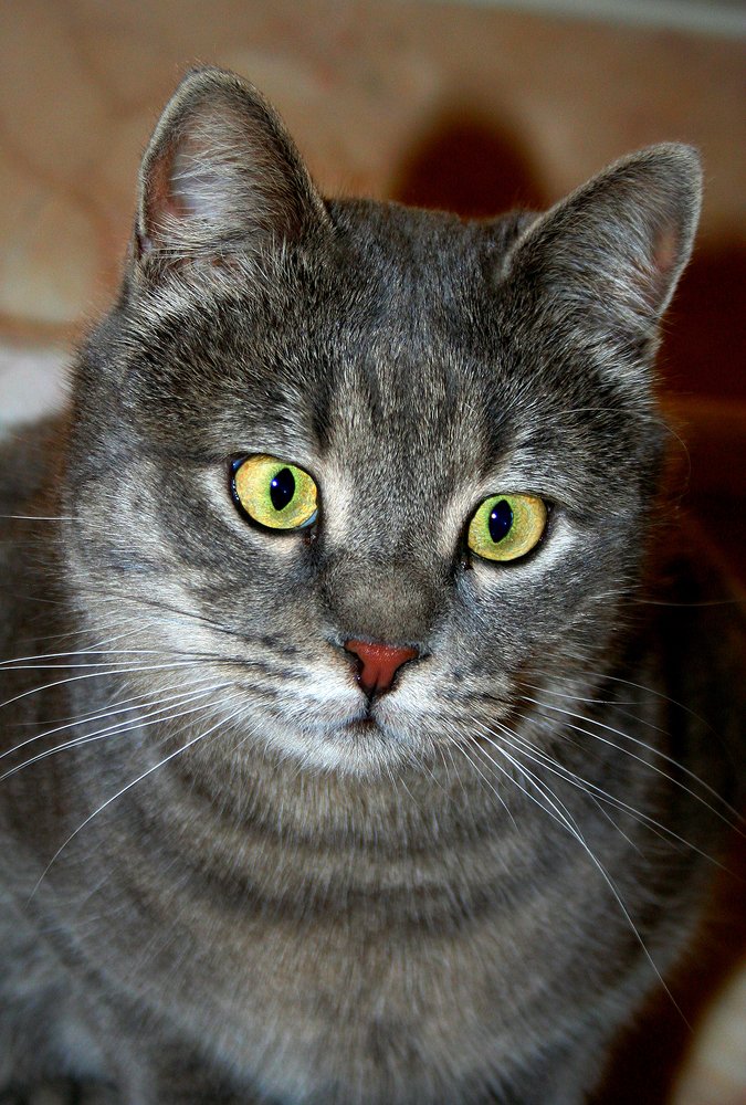 Photograph by Siamak Sabet