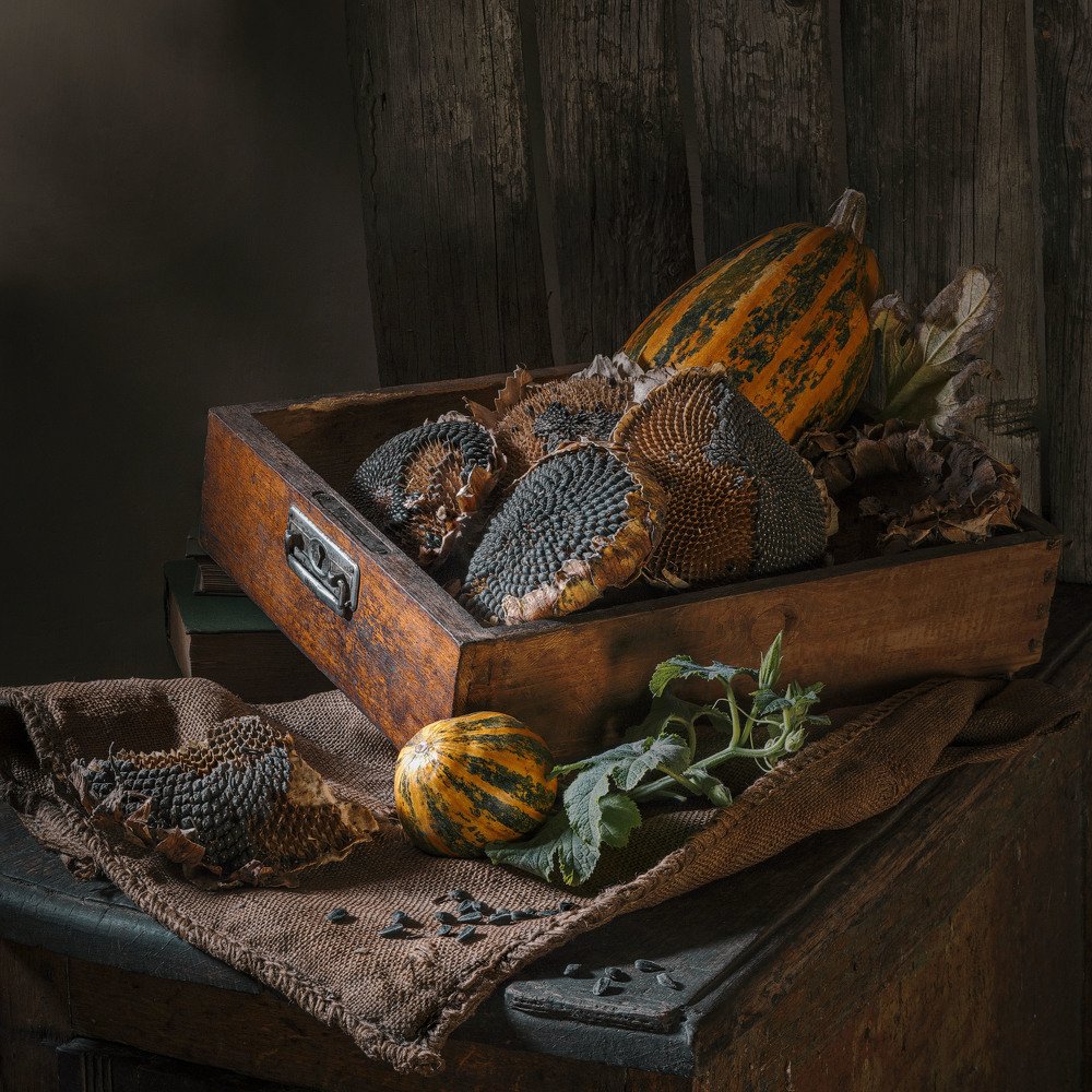 Photograph by Владимир Черных