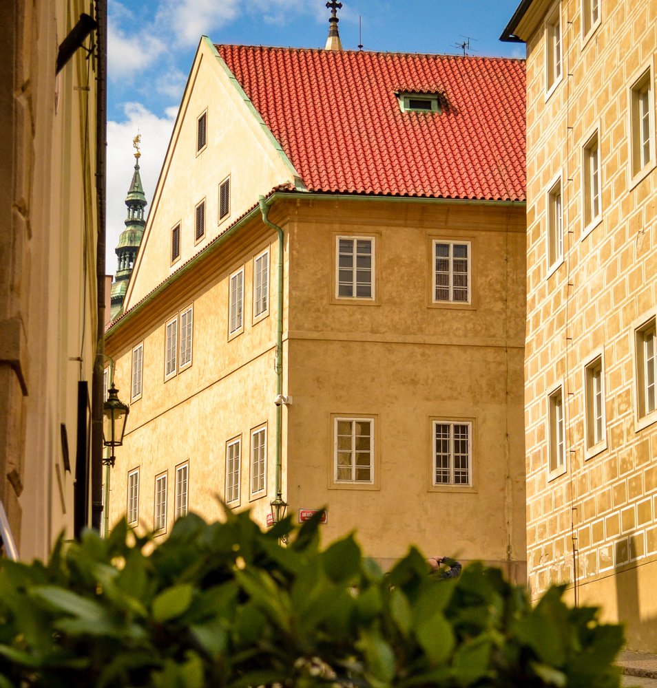 Photograph by Светлана Ветрова