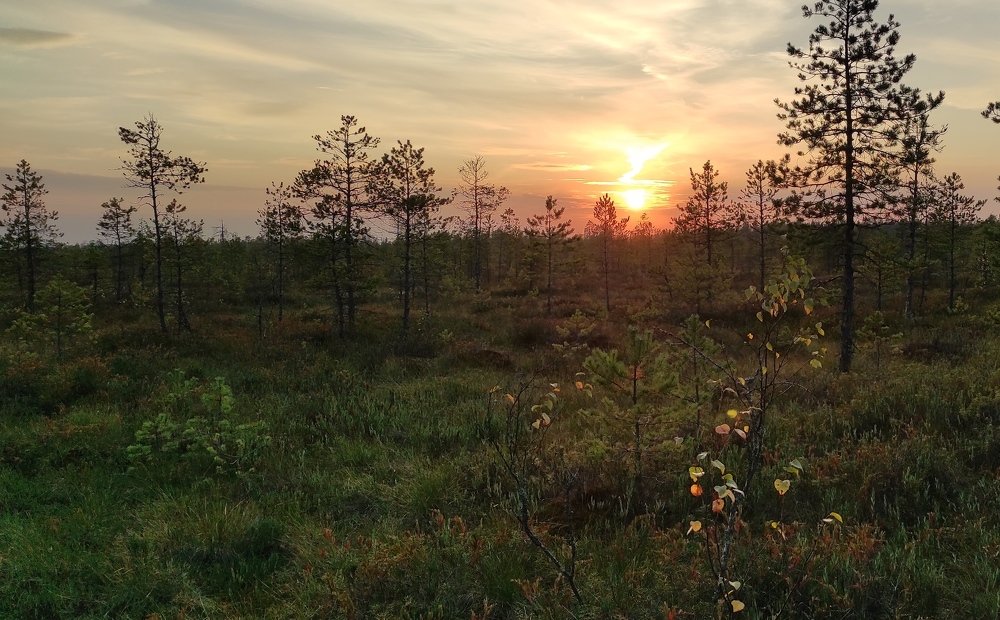 Photograph by Ирина Кузьмина