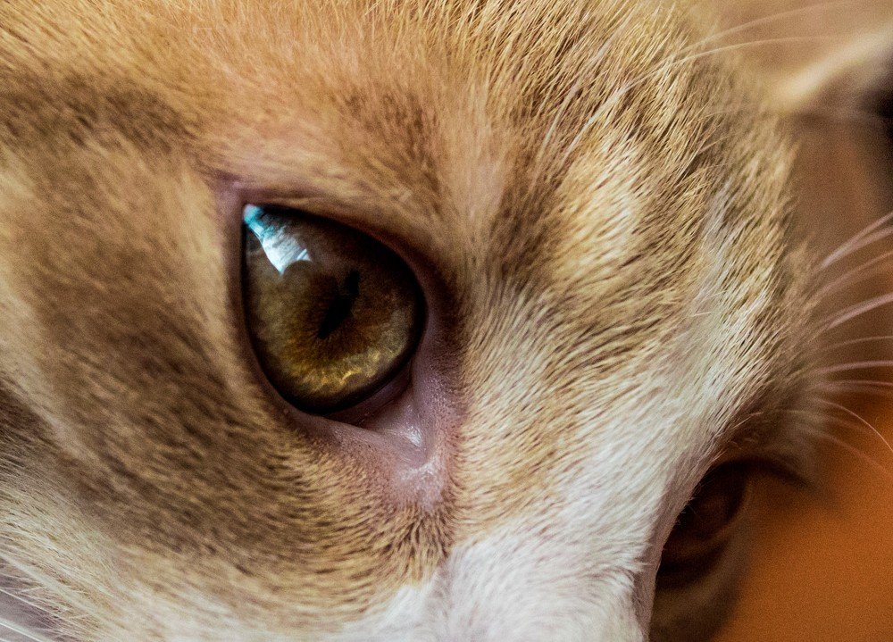 Photograph by Светлана Ковалёнок