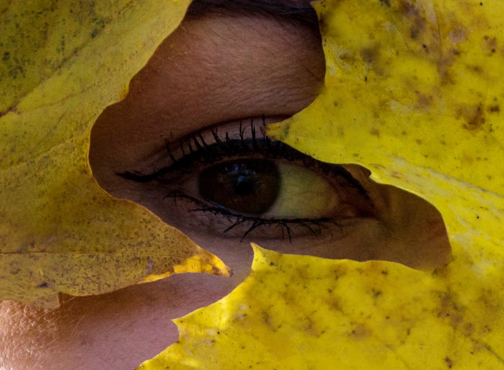 Photograph by Светлана Ковалёнок