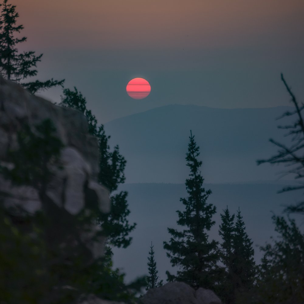 Photograph by Дмитрий Жучков