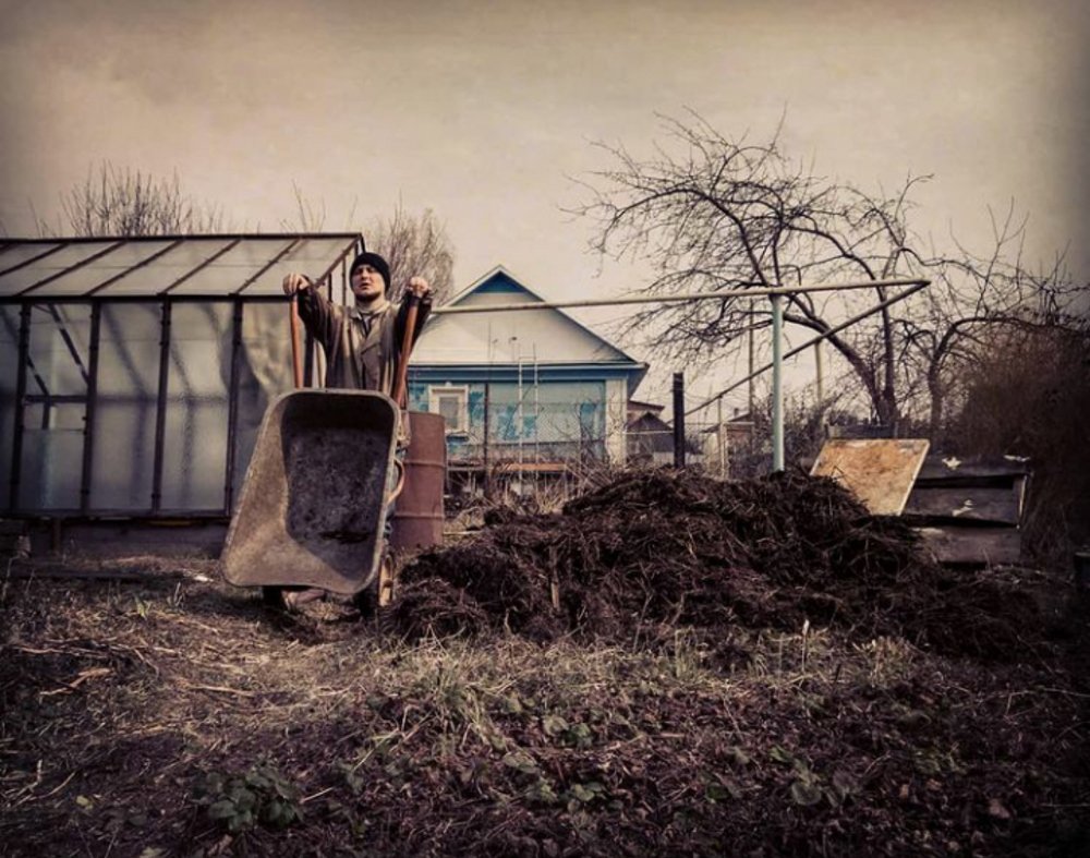 Photograph by Михаил Дунаеа