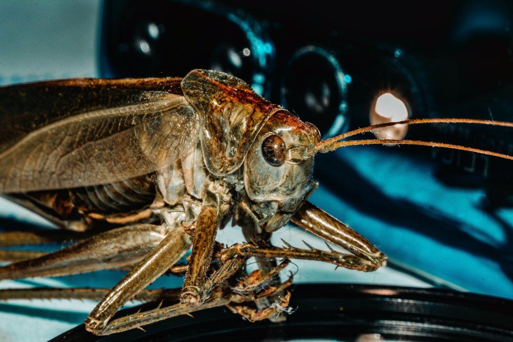 Photograph by Матвей Иванов