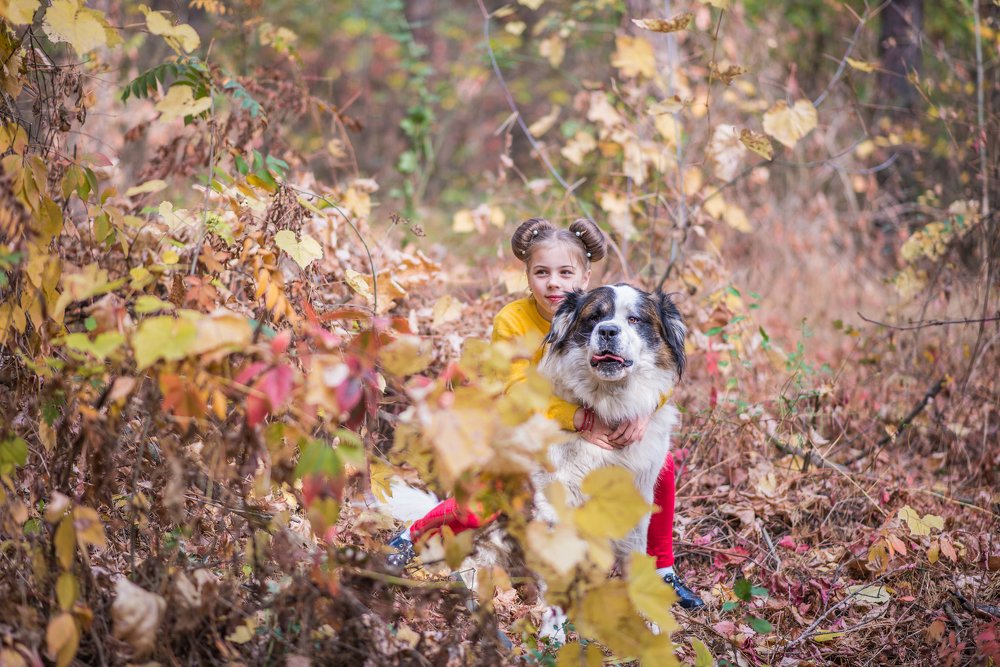 Photograph by Виктория Шульгина
