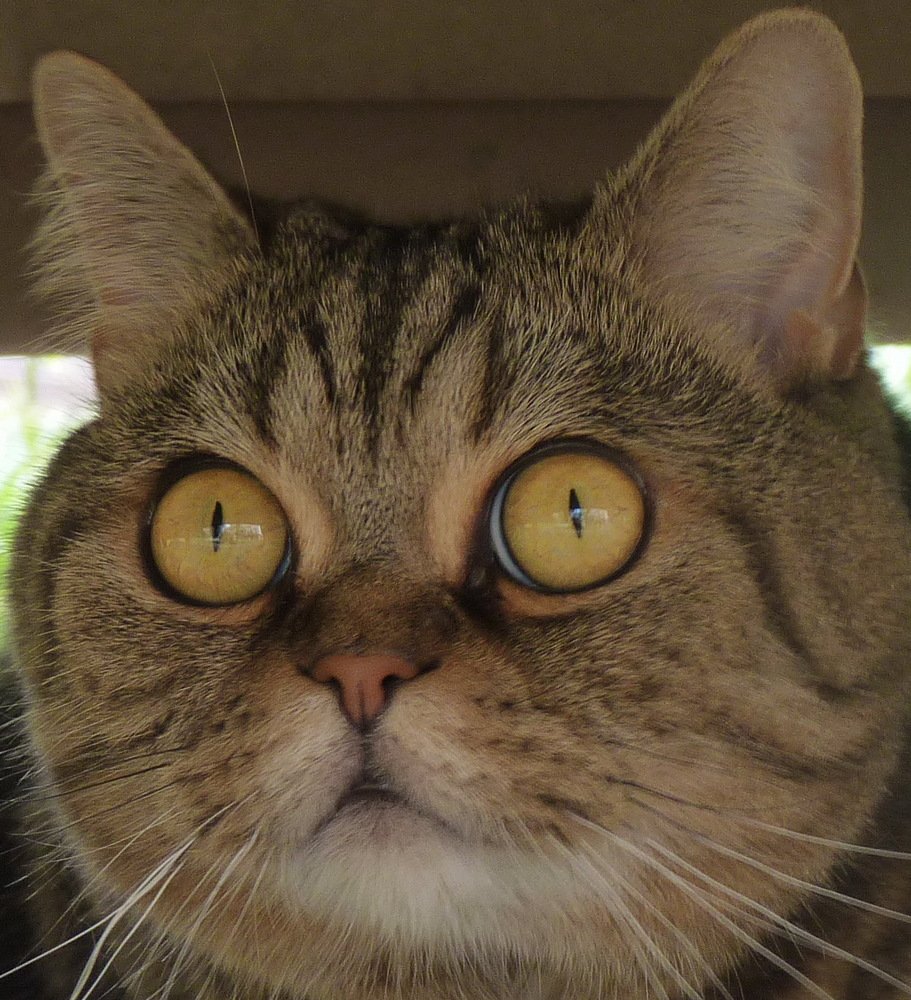 Photograph by Galina Leskova