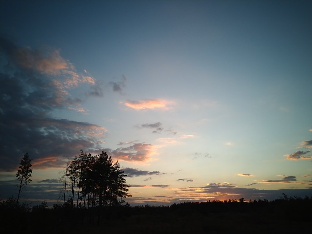 Photo #5301131