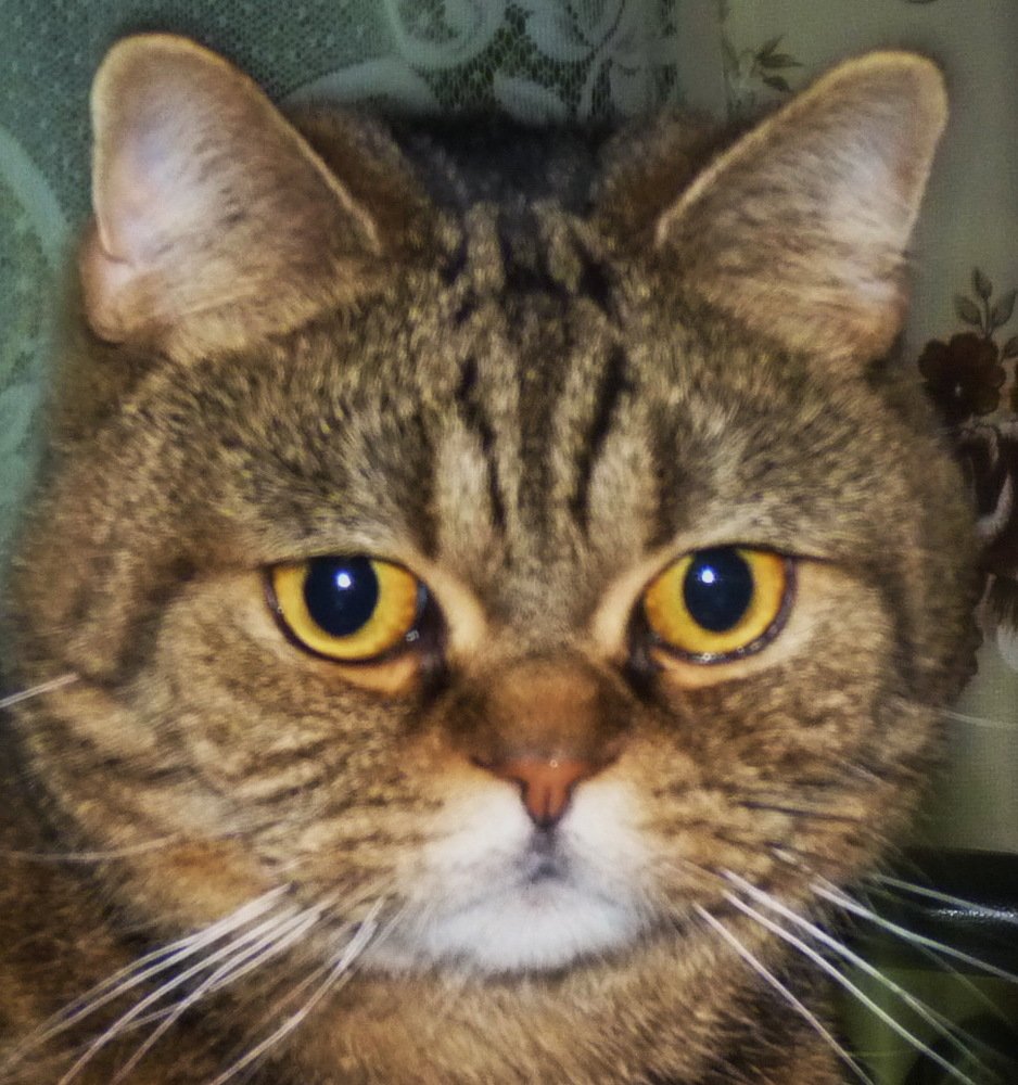 Photograph by Galina Leskova