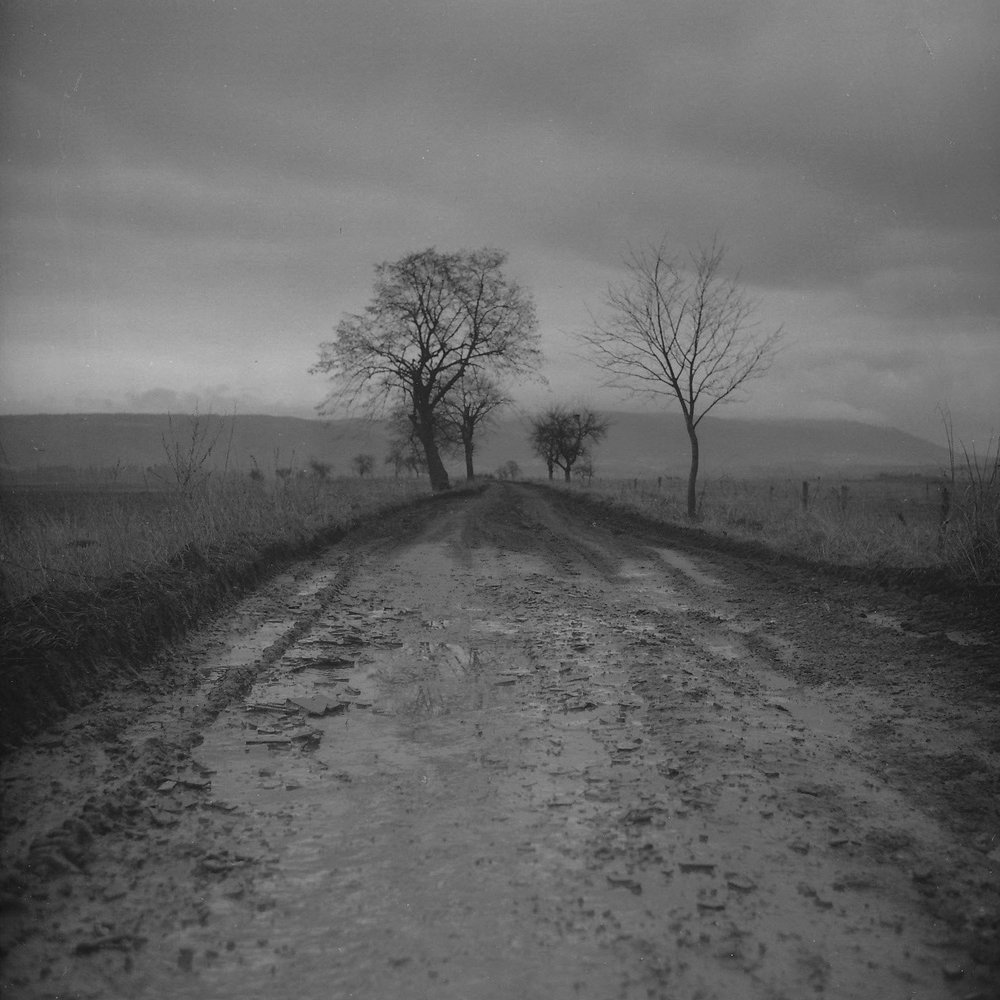 U Okrouhlé 2014/II.