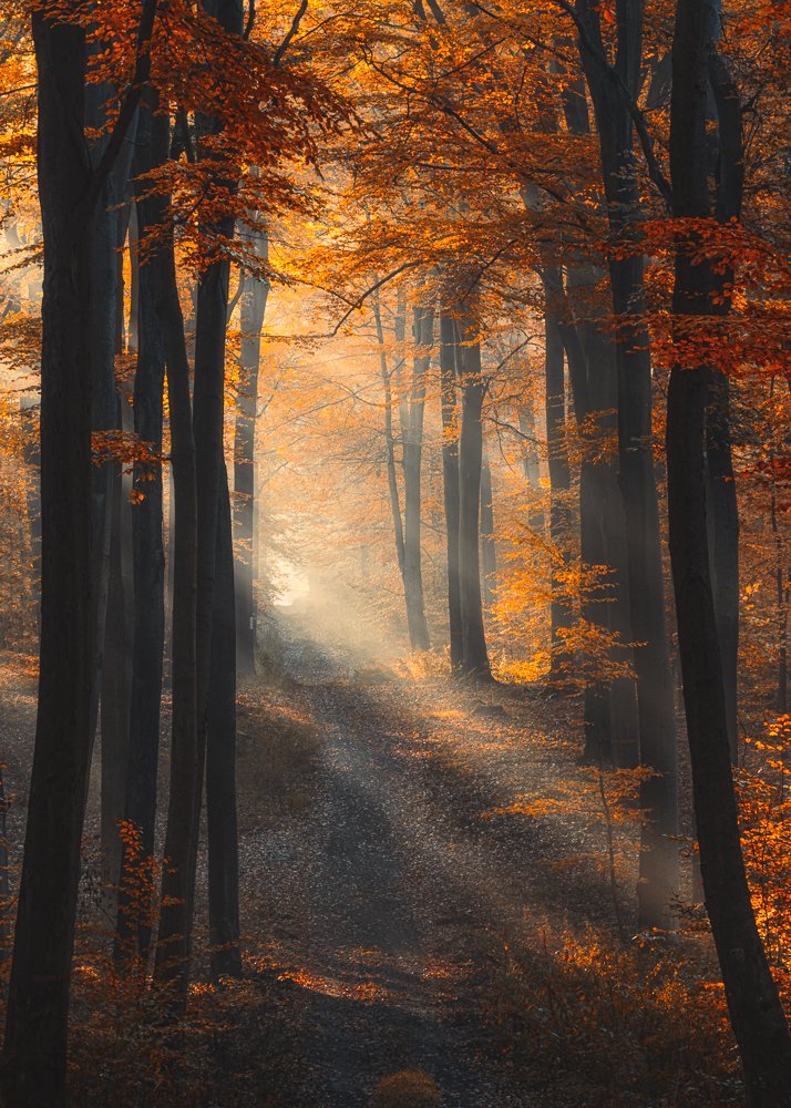 Photograph by Michał Tomczak