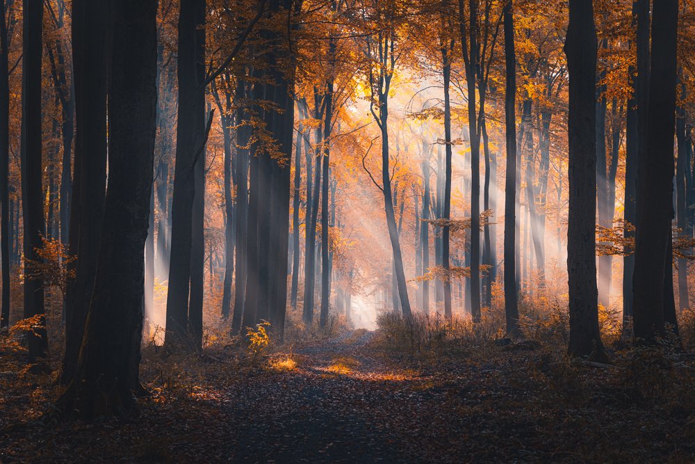 Photograph by Michał Tomczak