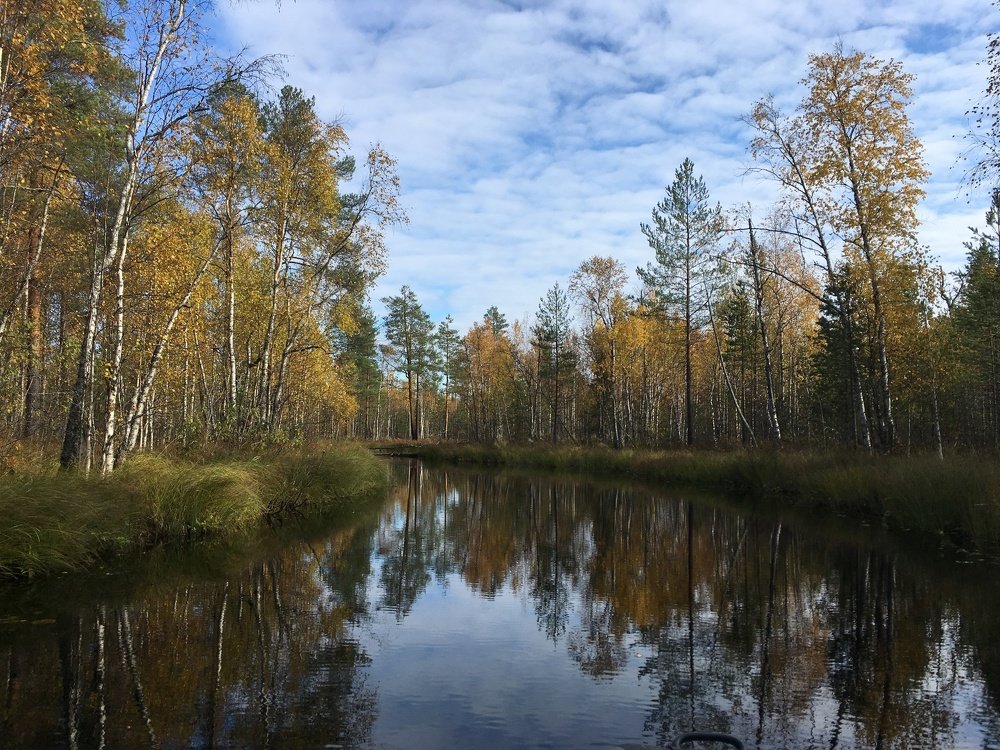 Photograph by Александр Зуев