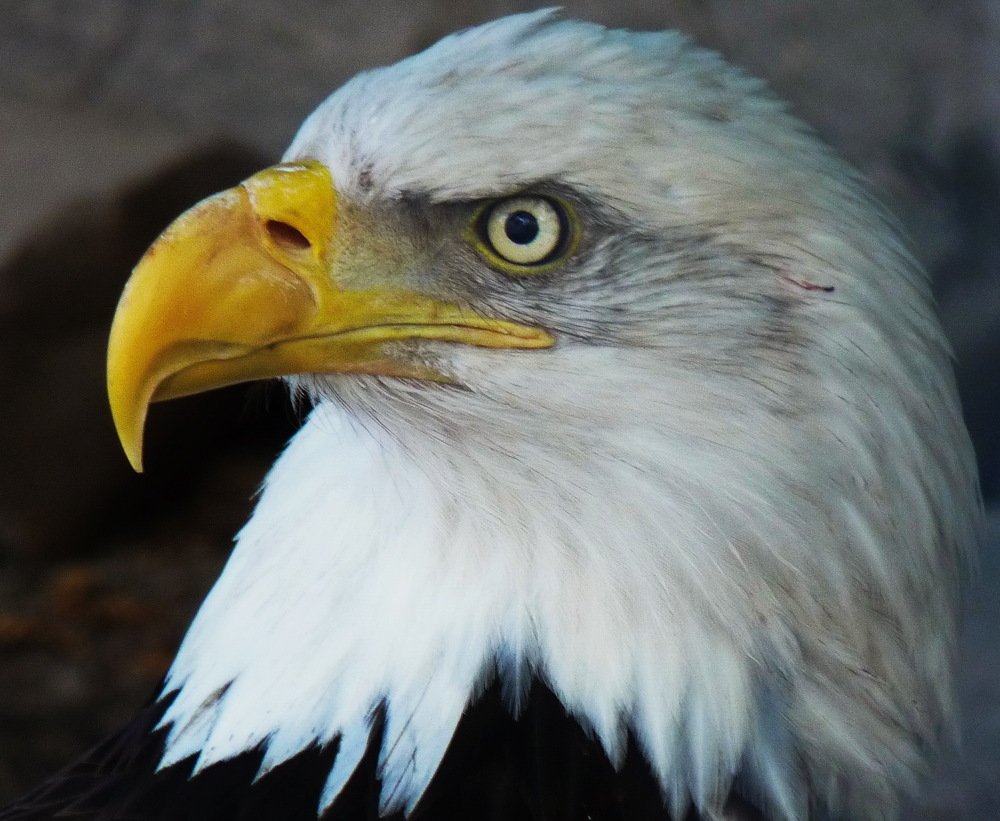 Photograph by Galina Leskova