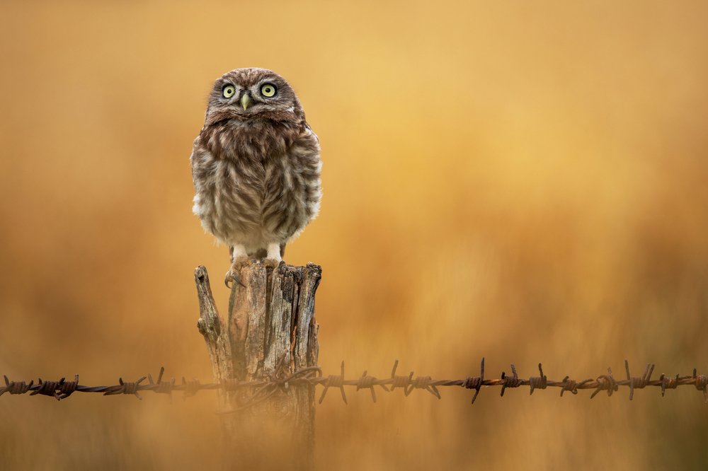 Photograph by Rok Štirn