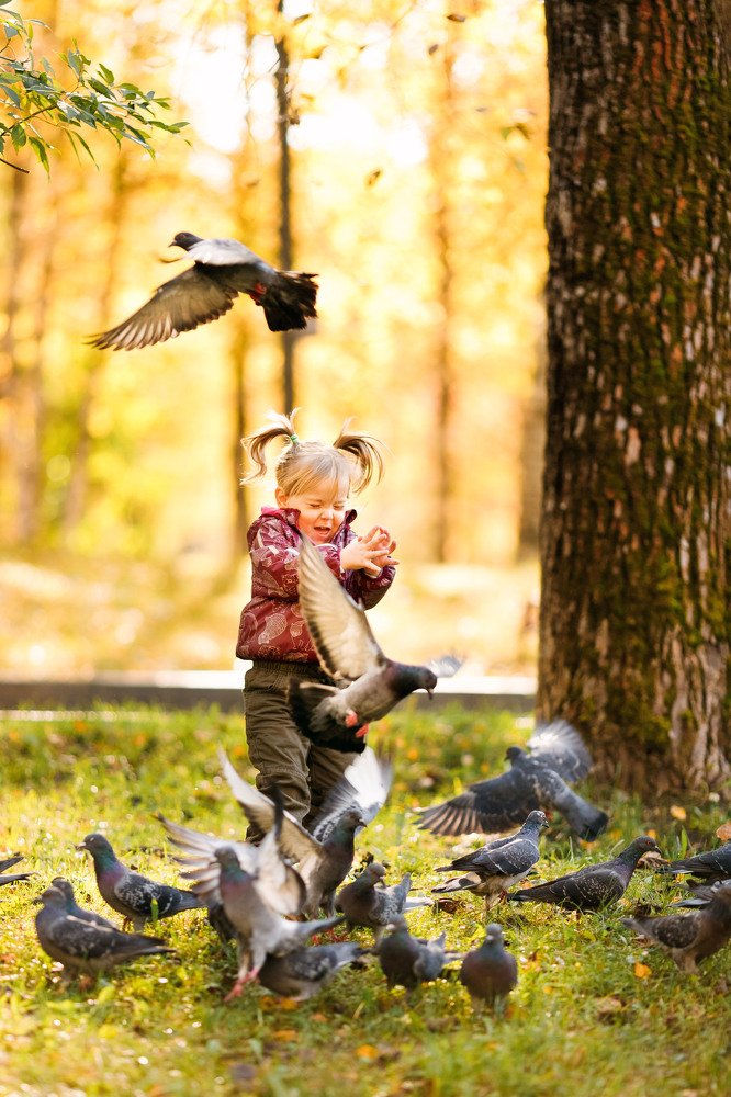 Photograph by Елена Горохова