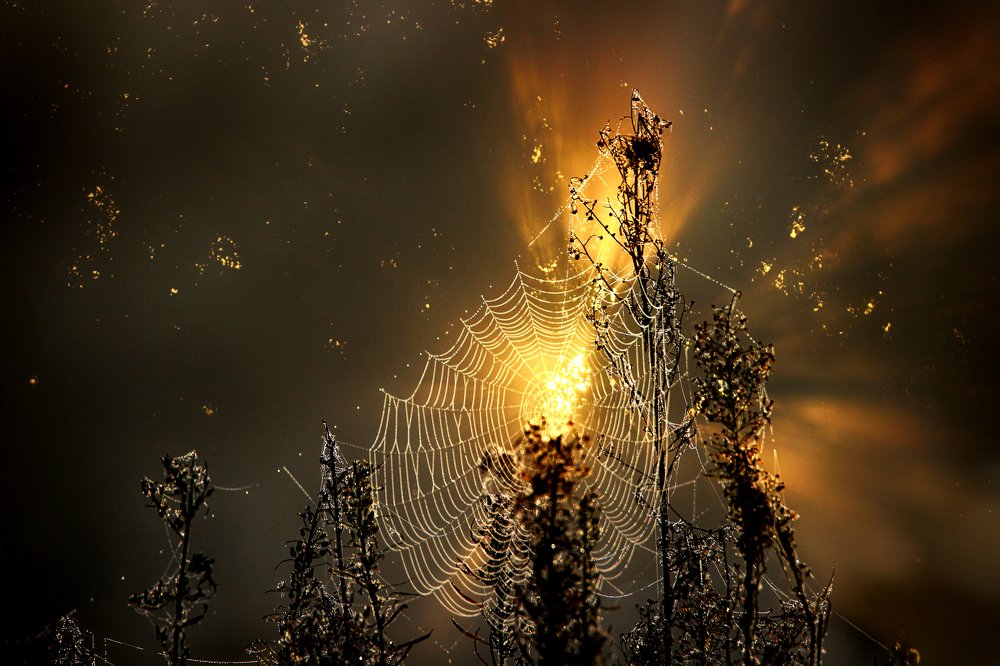 Photograph by Anna Suchcicka