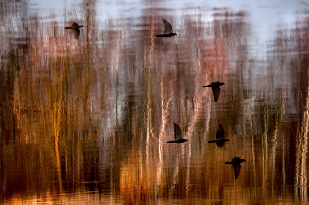 Photograph by Anna Suchcicka