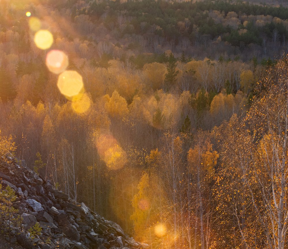 Photograph by Инна Макеева