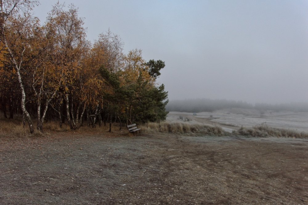 Туманное утро