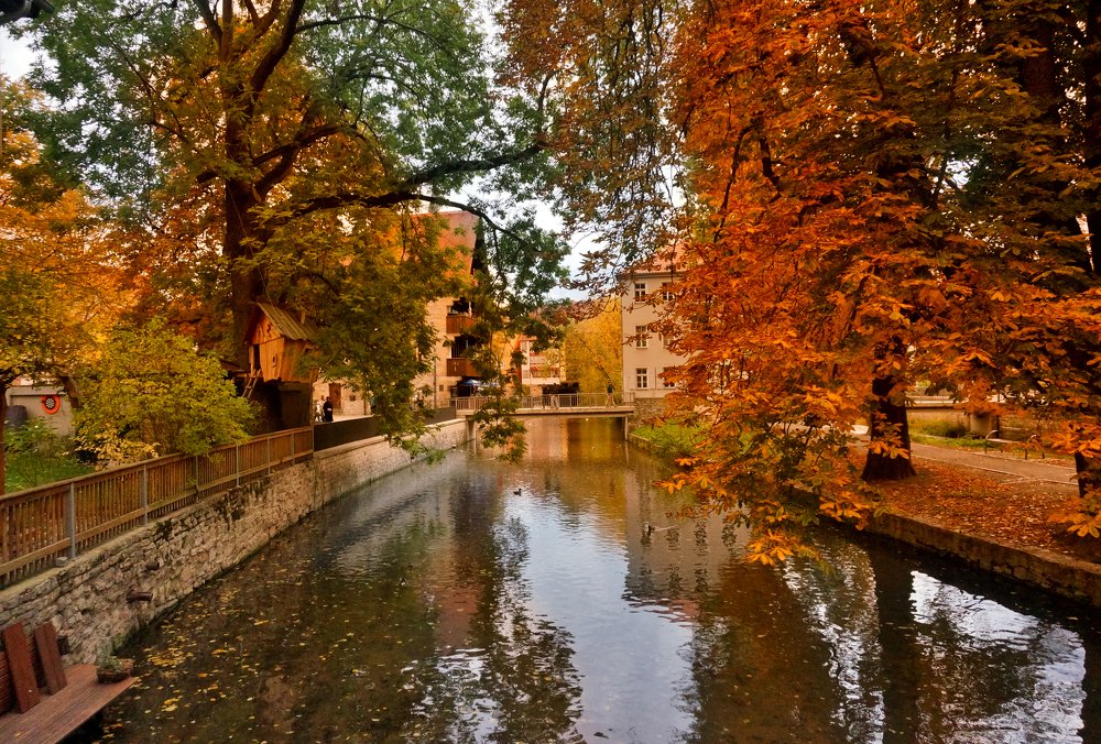 Осеннее настроение