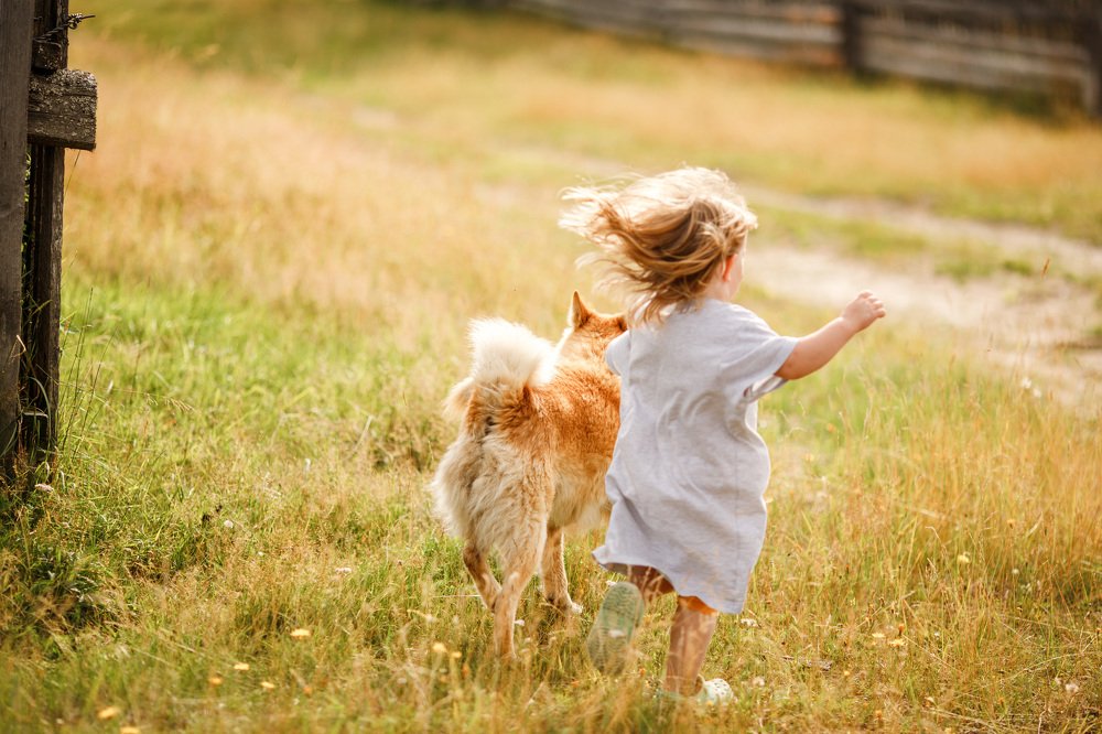 Photograph by Елена Горохова