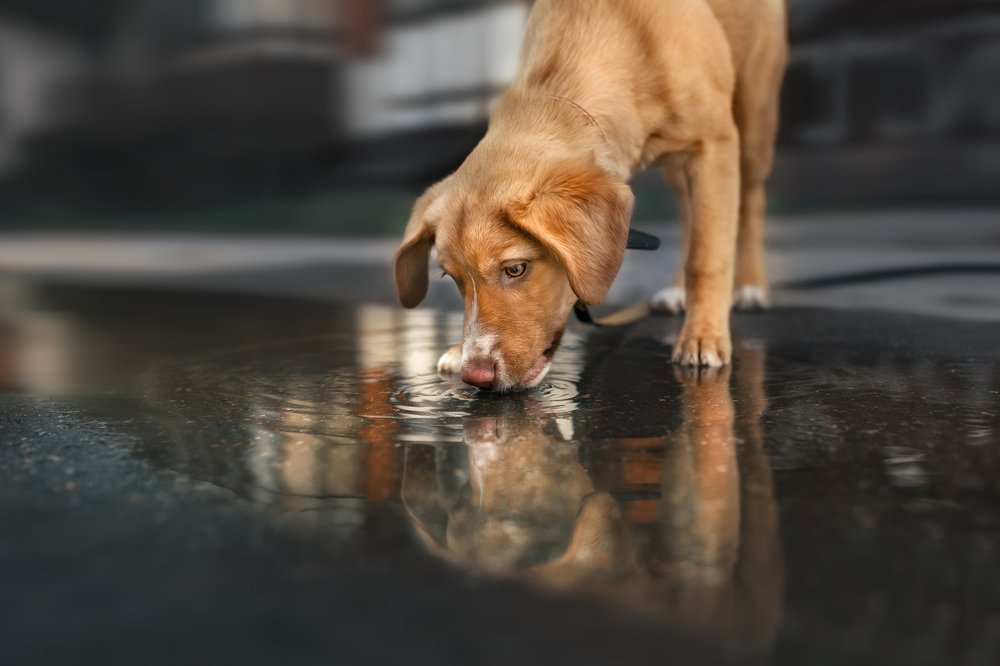 Photograph by Ольга Овчинникова