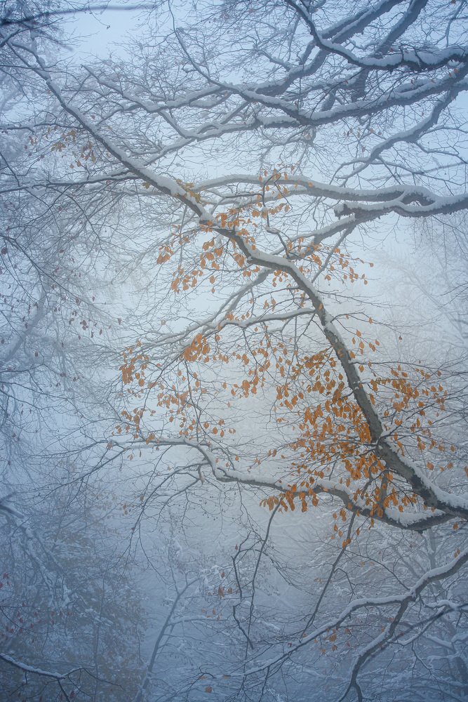 Photograph by Helen Vasilieva