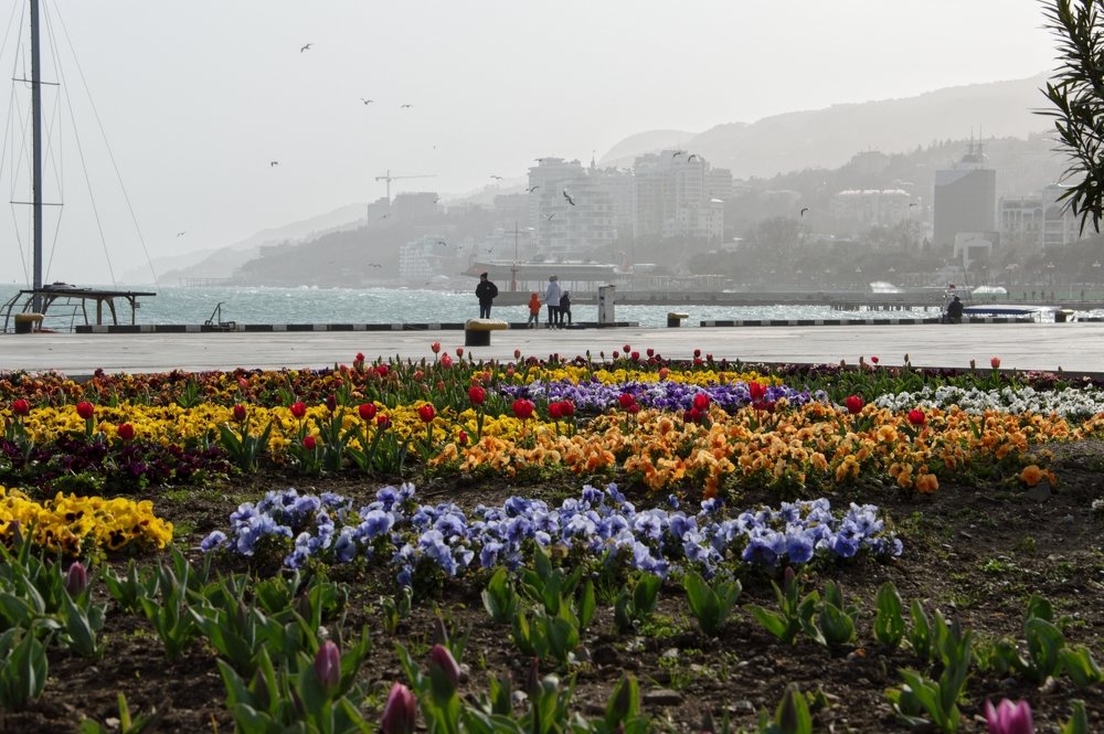 Photograph by Виктория Сметанина