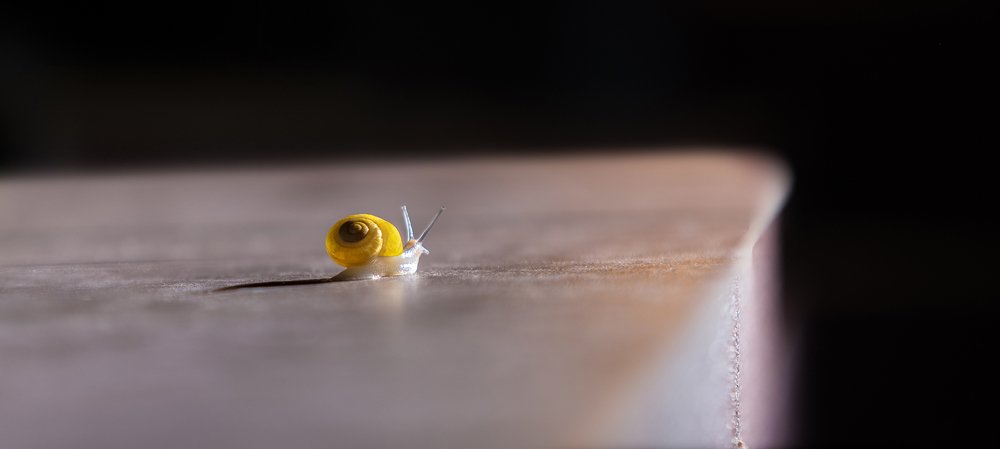 Photograph by Radim Zoun