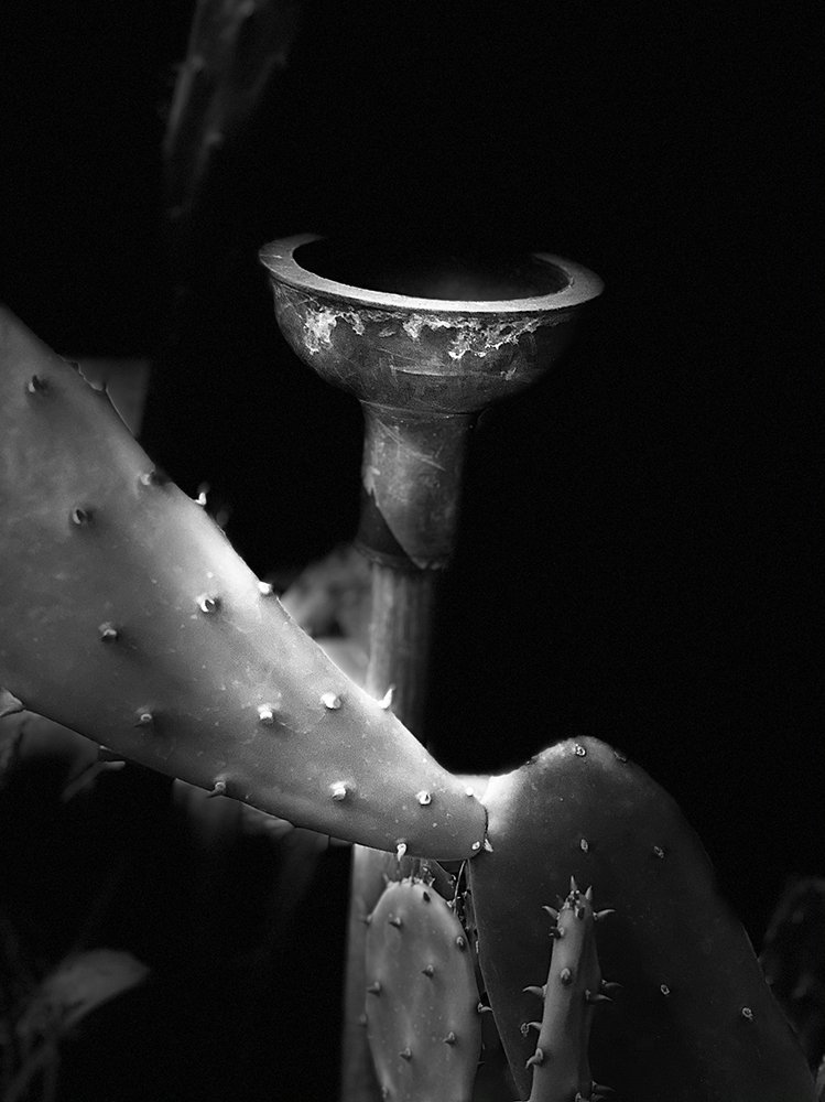Photograph by Mirta Gendin Gendin