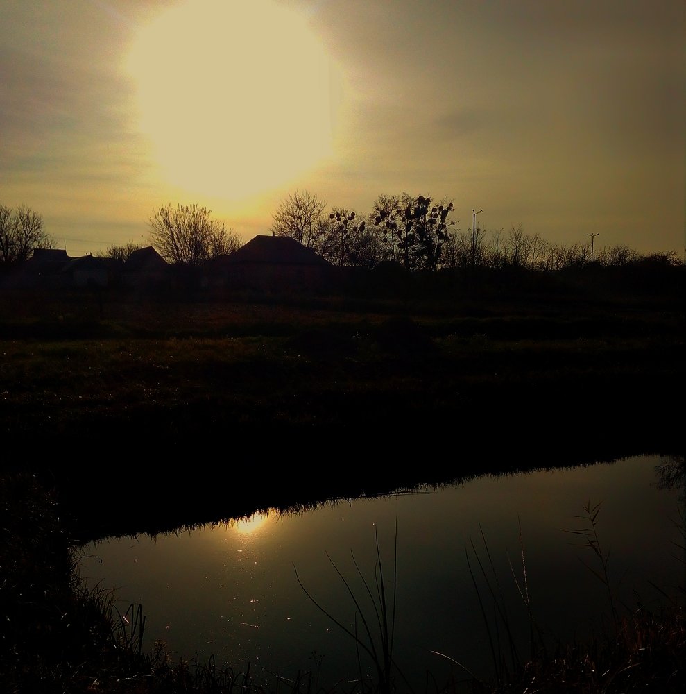 Photo #5301551