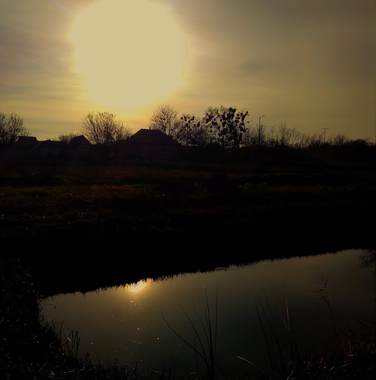 Photo #5301551