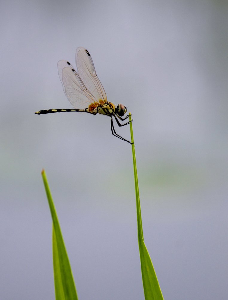 Photograph by Afzalkhan Khan