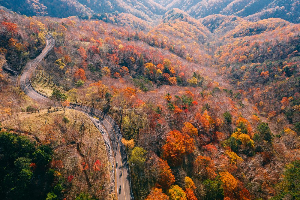 Photograph by Refat Sameh