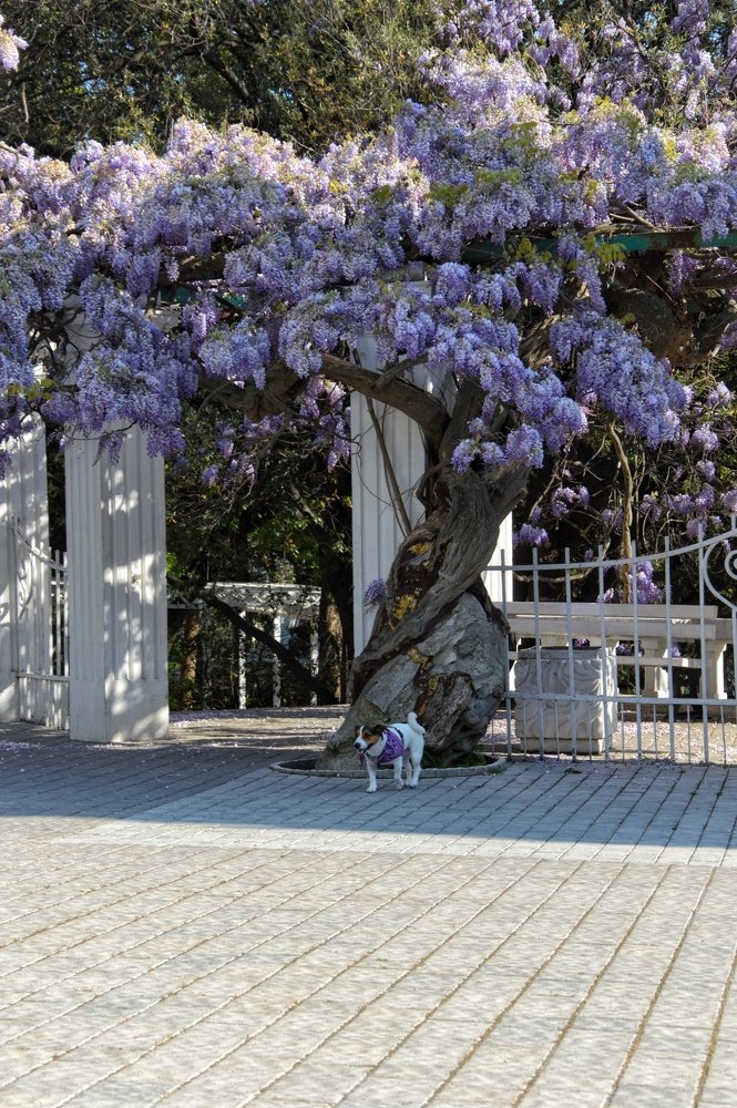 Photograph by Виктория Сметанина